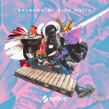 [采样]Splice Sessions Balafon with Sidy Koita WAV